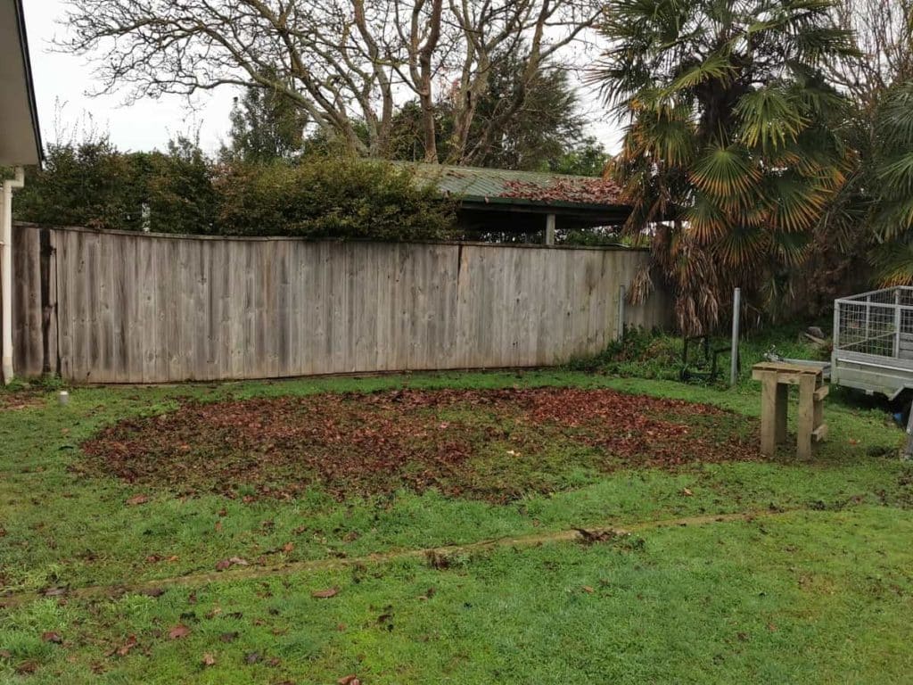 My old swimming pool hole now packed with grass clippings and starting to regrow.