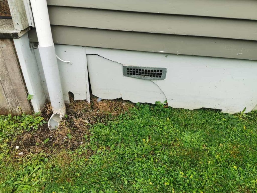 A example of overly aggressive edging with a string trimmer that I came across recently.