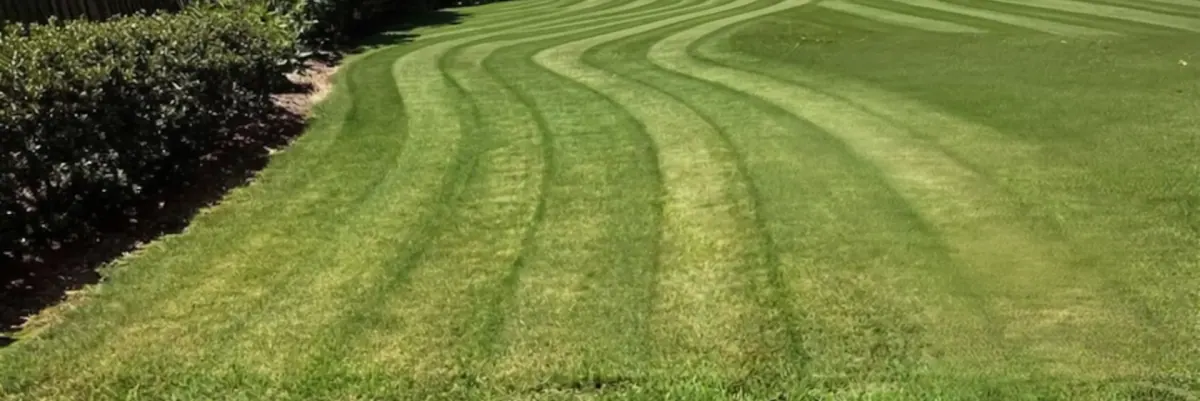 Uneven lawn mowing