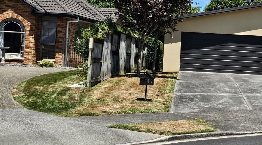 One side alive and one side dead lawn