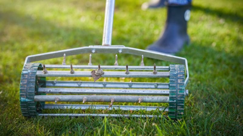 Home lawn Aerator