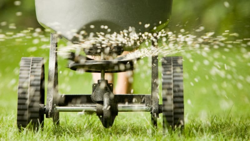 A spreader applying fertilizer