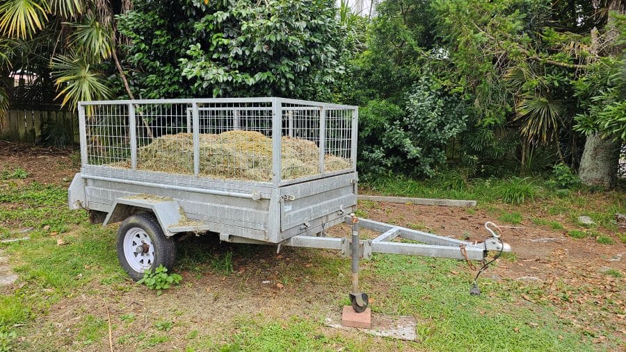 A trailer full of grass clippings.