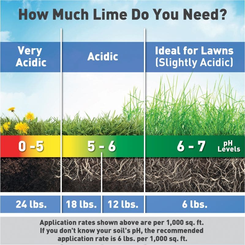 How to Fix Too Much Lime on Your Lawn. Problem Solved!