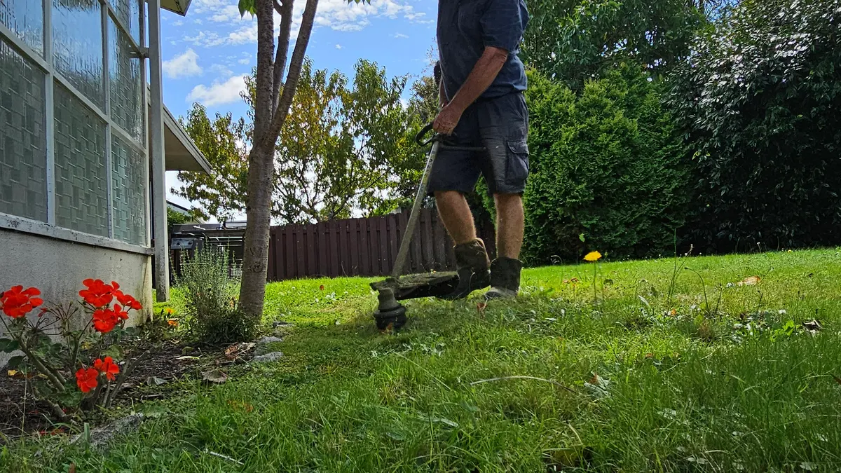 Line trimming the edges of a front garden