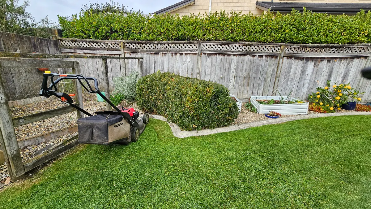 Mower on a neat back lawn beside a hedge