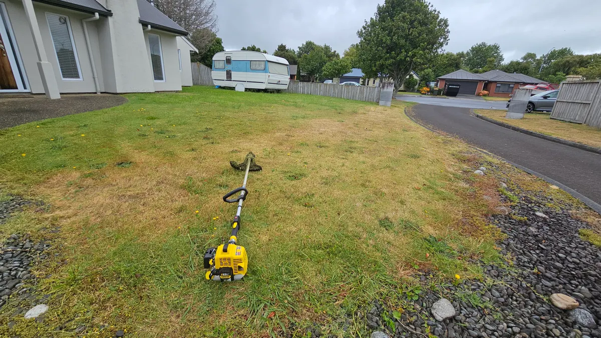 Long grass on a lawn waiting for a quote