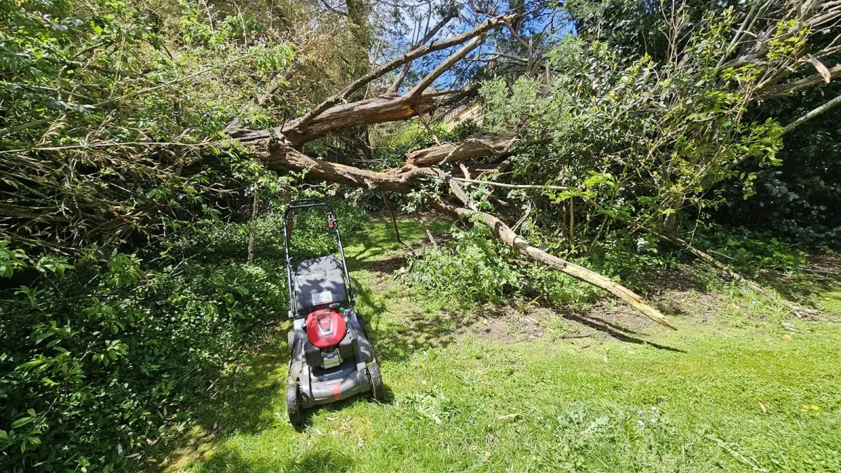 A fallen tree branch across a back lawn beside a push mower, a tree job worth passing to the right contractor