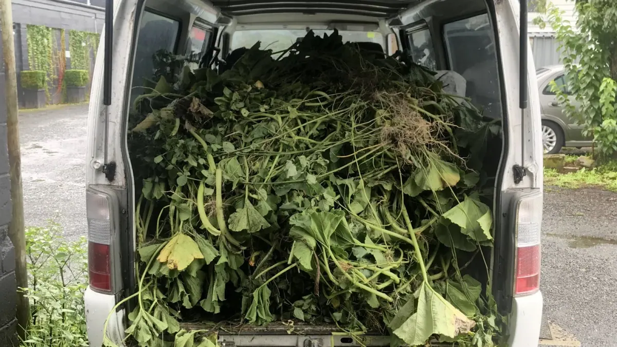 Back of a van packed with garden waste, rubbish removal is one of the lawn mowing leads people expect you to handle