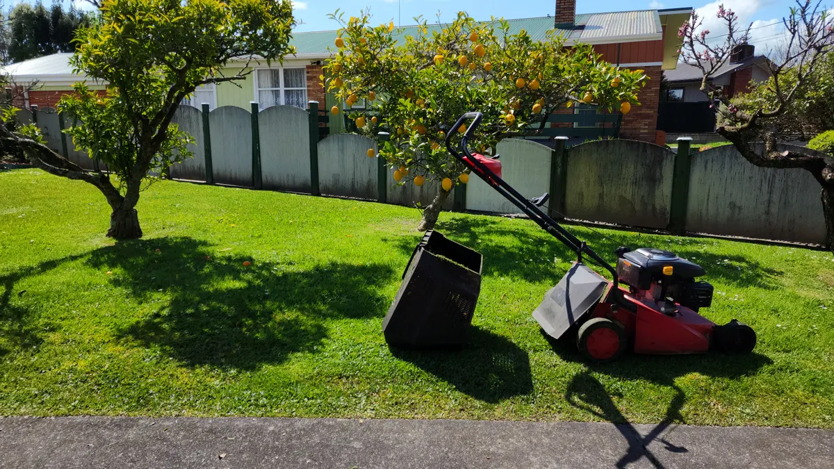 Mower on a green spring lawn with fruit trees