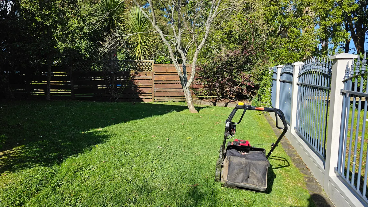 Mower on a back lawn in the summer sun