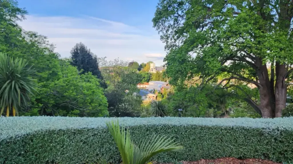A long, flat-topped clipped hedge in front of a garden with tall trees and a view over a town