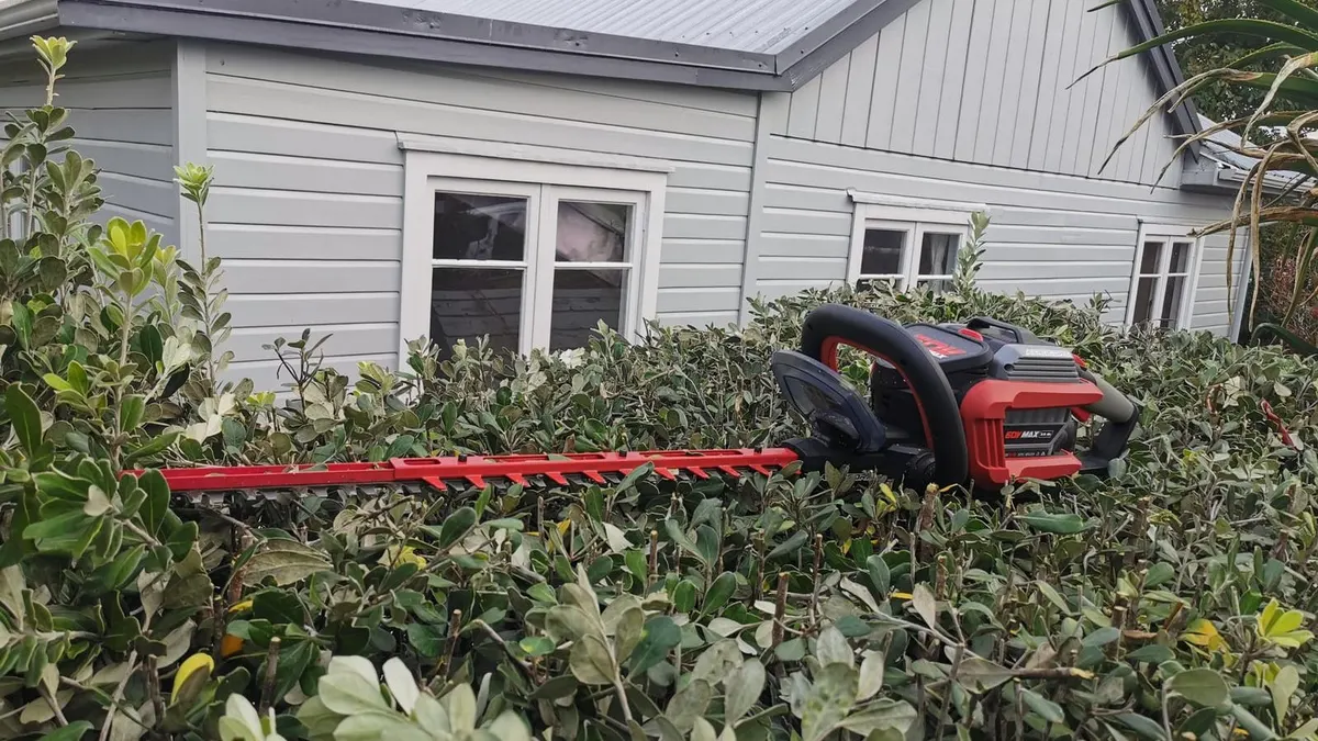 A red and black 60V battery hedge trimmer resting on top of a freshly trimmed hedge in front of a grey weatherboard house