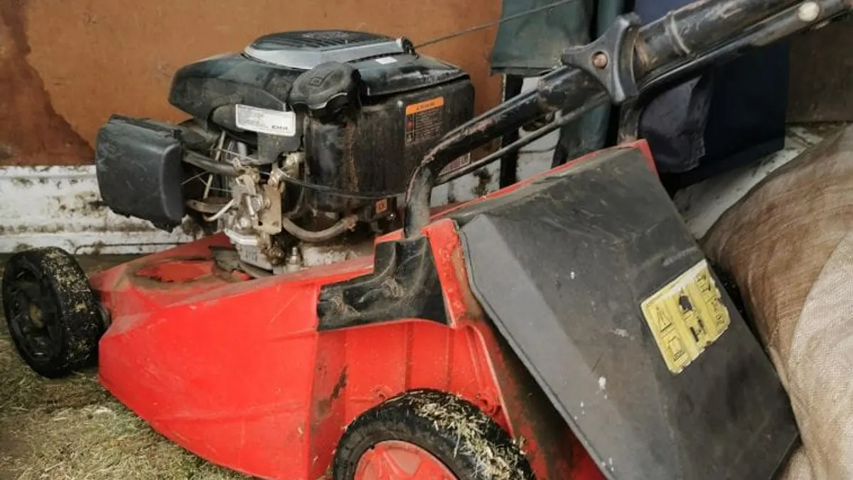 A well-used red push mower with a catcher, loaded in the back of a work van among grass clippings