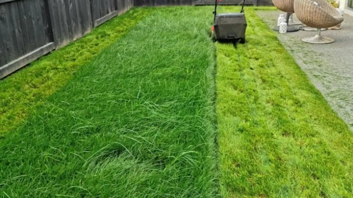 A narrow backyard lawn half mown, with a strip of long grass beside the cut section and a push mower at the far end