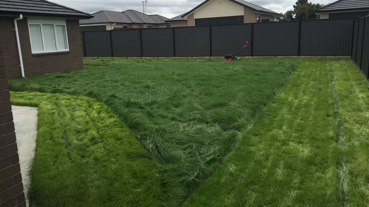 A backyard of long, overgrown grass part way through being mowed, with fresh stripes either side and a red mower by a black fence