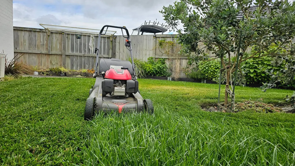 A Honda mower on a backyard lawn with long uncut grass in front and a freshly cut section behind