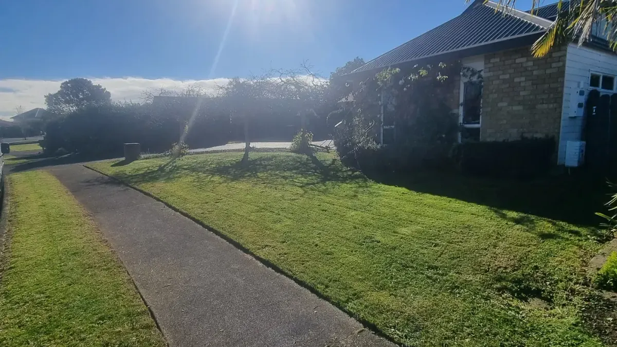 A freshly mown front lawn and grass berm beside a footpath on a sunny day, with a brick house and clipped hedges