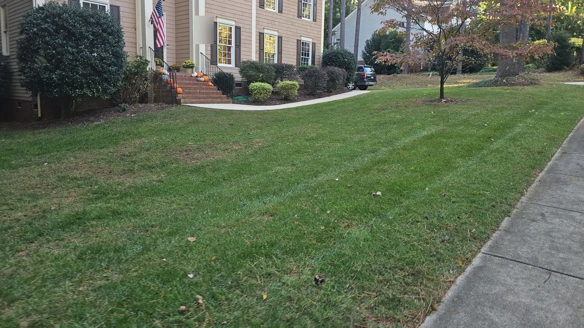 A large striped front lawn in front of a two-storey house with pumpkins on the steps and autumn trees