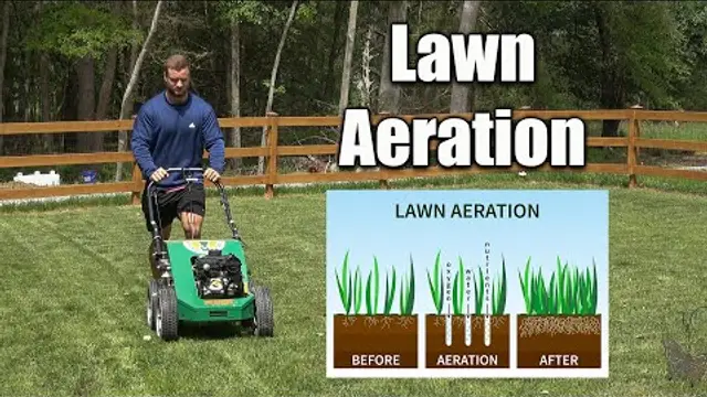How to Aerate a Lawn.