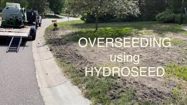 Can You Hydroseed Over an Existing Lawn? Let’s Find Out.