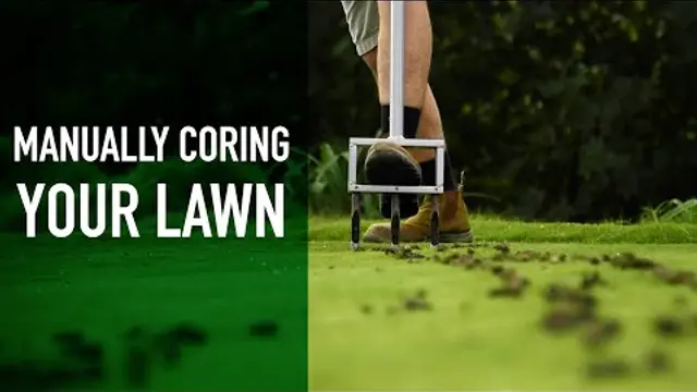 When to Aerate Your Lawn: The Best Time