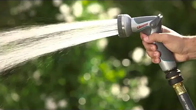 When is the best time to water my lawn?