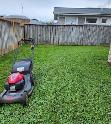 Mower in a backyard in spring
