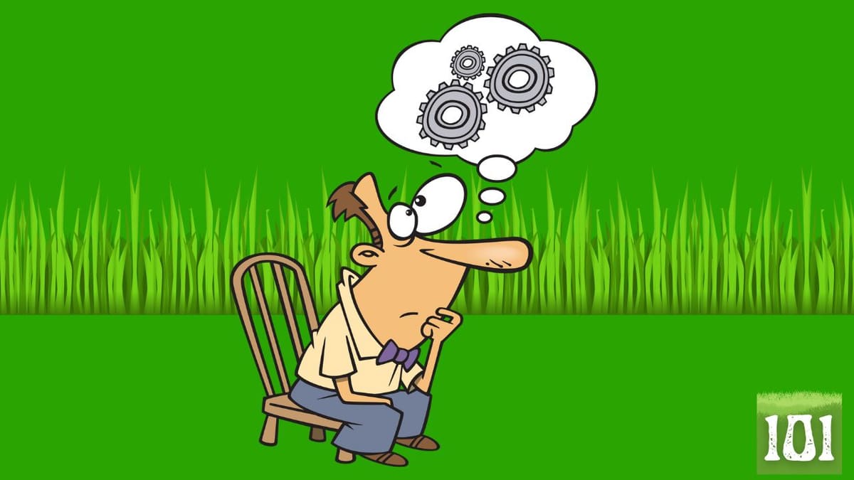 Lawn Mowing Business Partnership