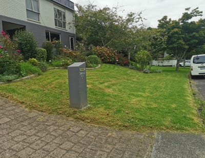 Freshly mown front lawn with a letterbox by the driveway