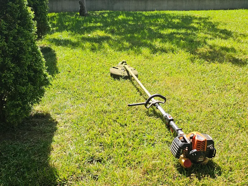 Line trimmer lying on a sunny lawn