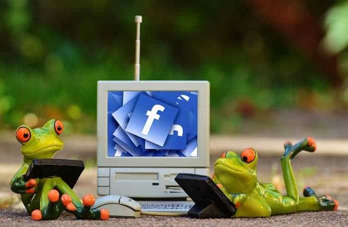 Frogs setting up Facebook page