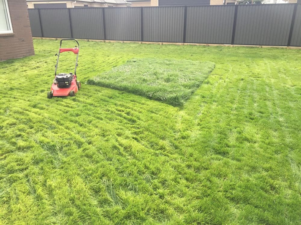 A Long New lawn with a mower in the middle