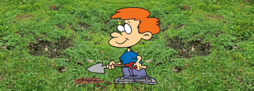 Why do I have ruts in my lawn