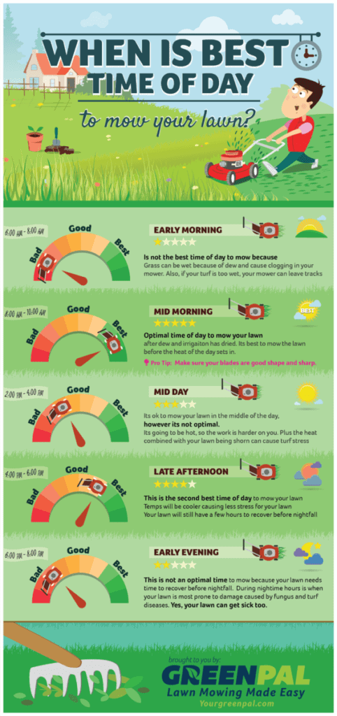 When is the best time of the day to mow your lawn - Info graphic