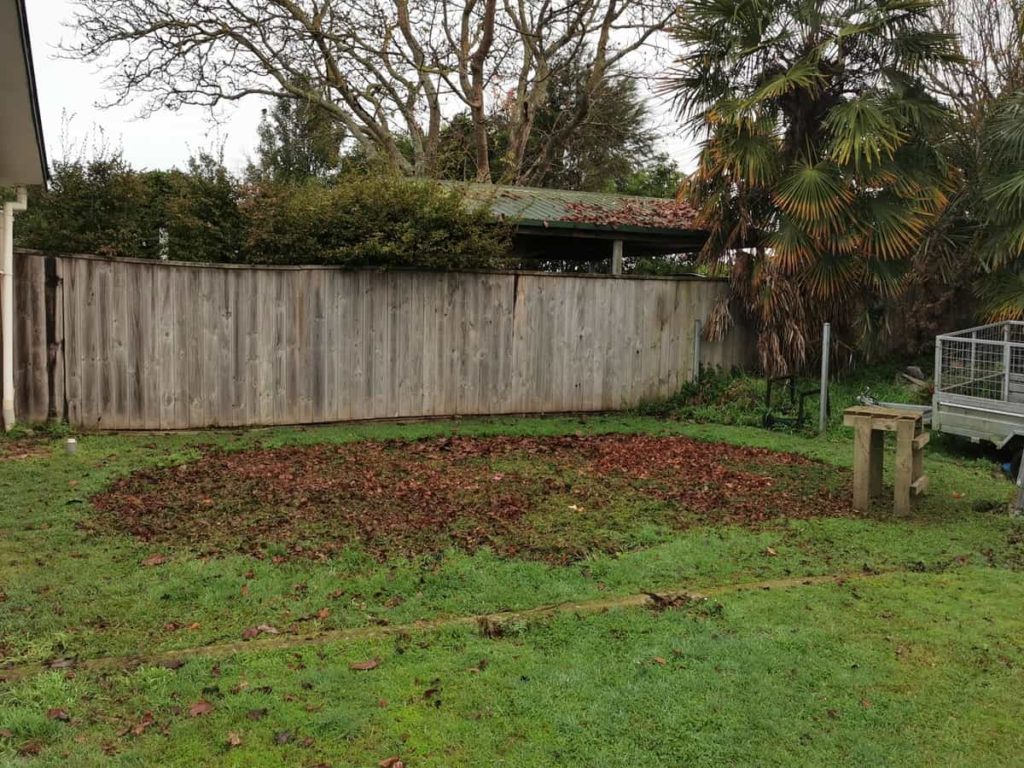 My old swimming pool hole now packed with grass clippings and starting to regrow. 