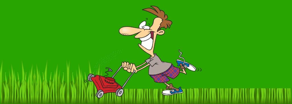 When Do You Cut A New Lawn Easy Quick Guide for New Grass