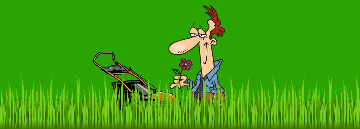 Does cutting grass make it grow faster?