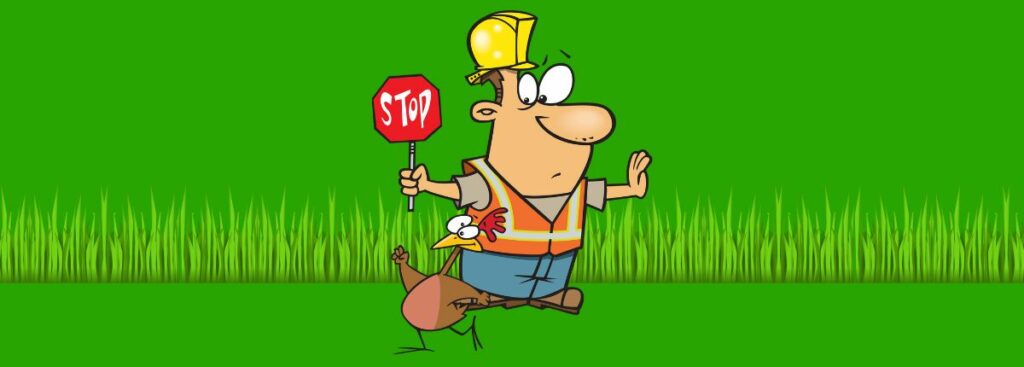 Lawn Care Safety Equipment What to Buy