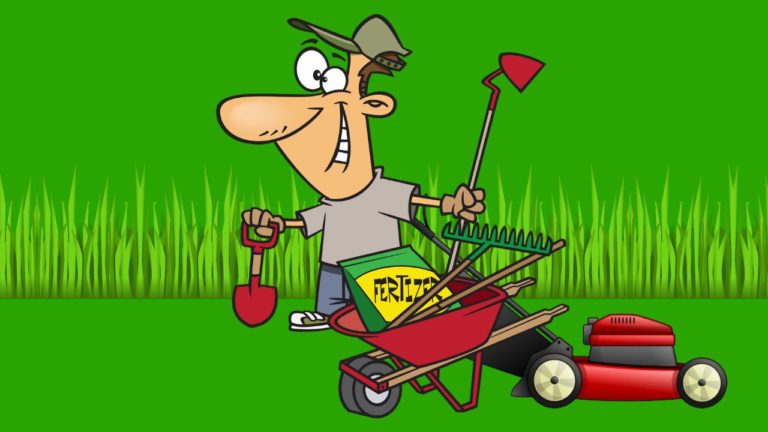 The Perfect Lawn Care Service List – What Should You Offer?