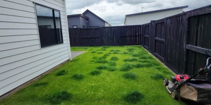 A lawn growing at different rates 1