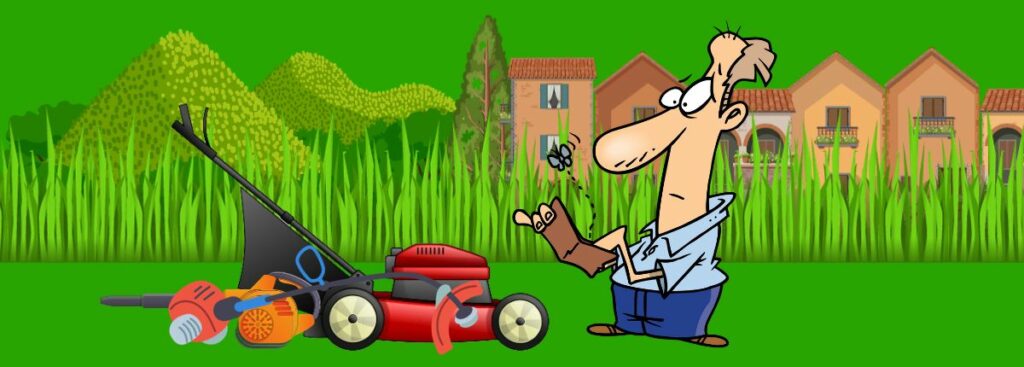 How to start a lawn care business with no money.