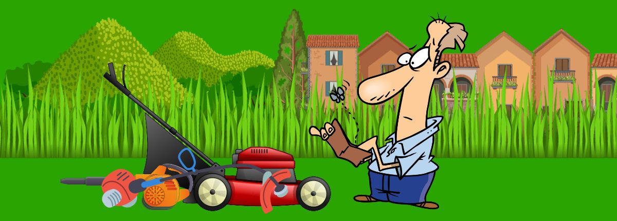 How to start a lawn care business with no money. 