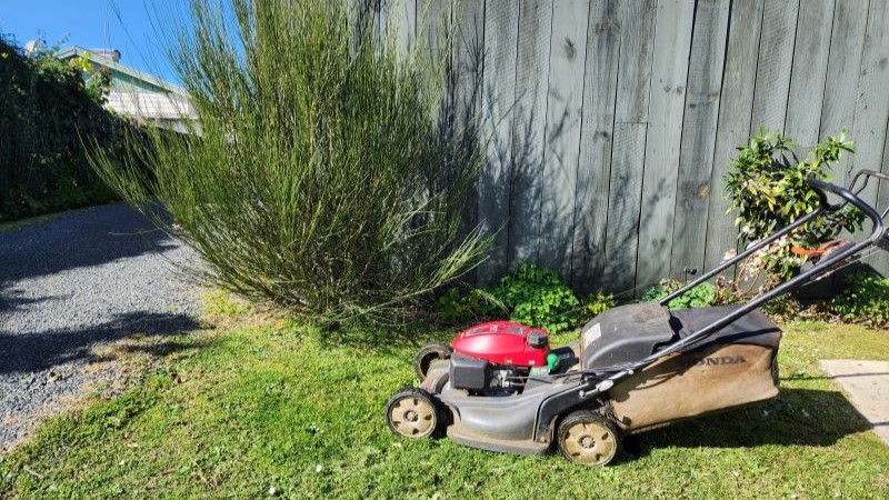 My commercial lawn mower on a lawn