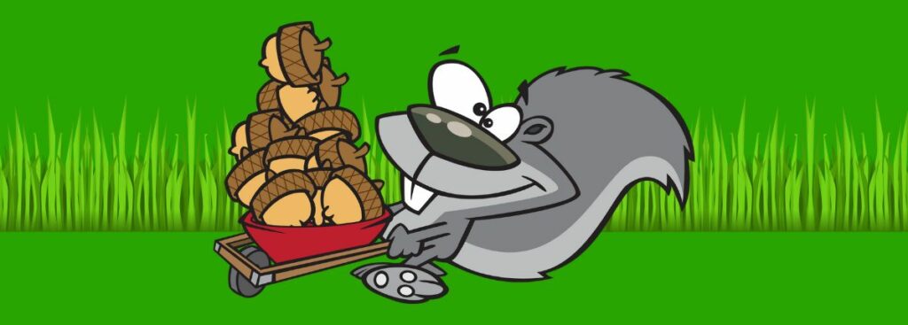 How to Pick Up Acorns from Your Lawn