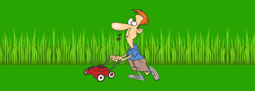 the best Time to Mow Your Lawn