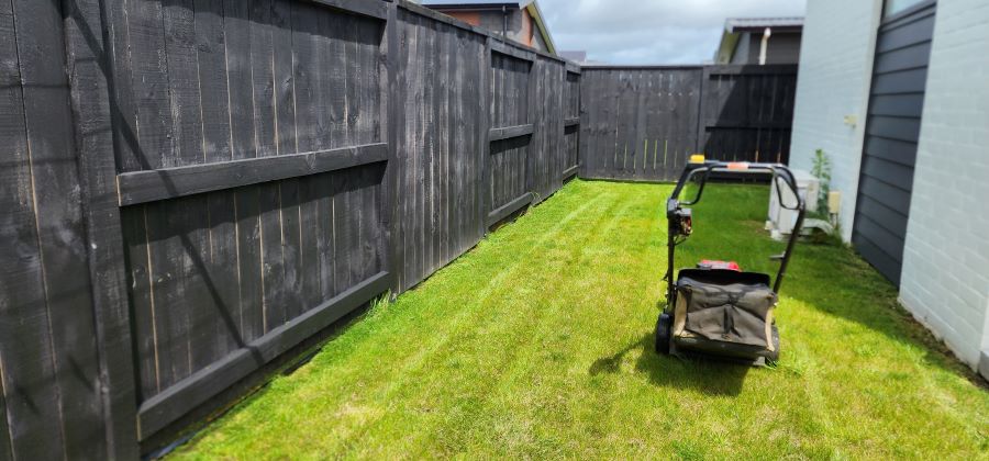 Small Lawn with lawn mower on it. 