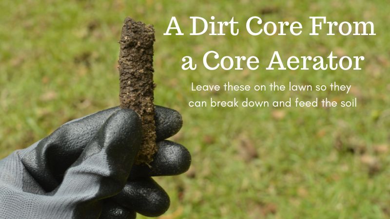 An example of a dirt core from an Aerator