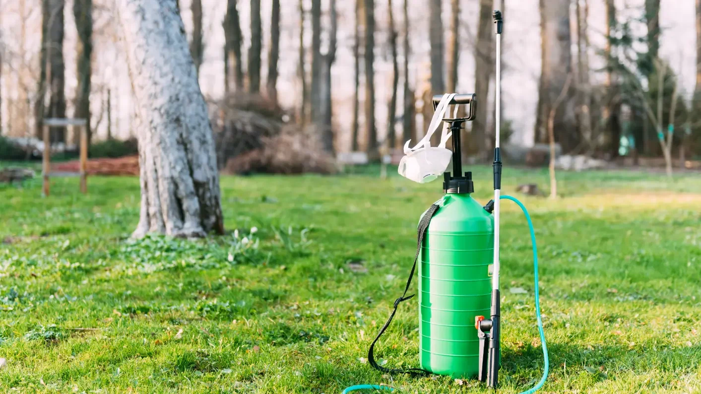 Tools to Weed and feed a lawn