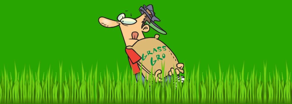 When to Weed and Feed Your Lawn